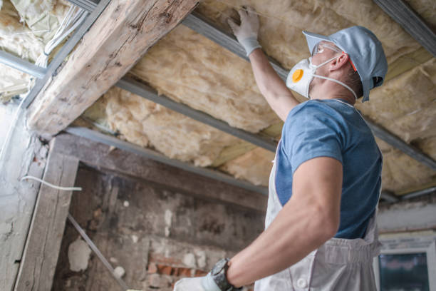 Best Geographic-Specific Insulation Services in Holtville, AL