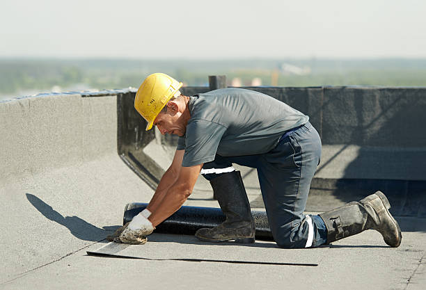 Best Blown-in Insulation in Holtville, AL